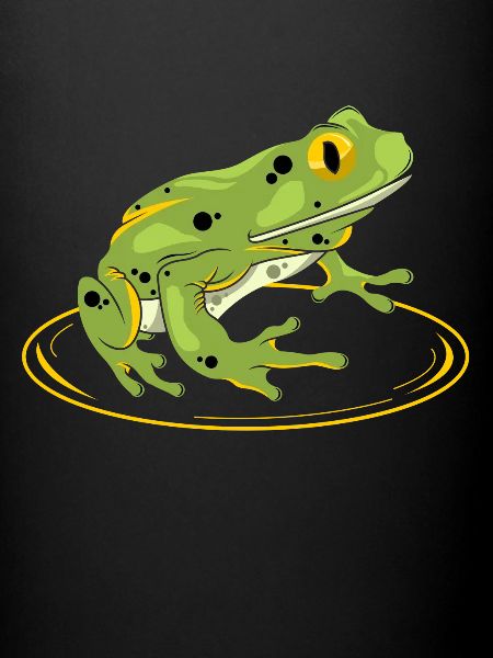 Frog - frog - toad