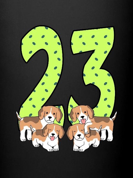 23e anniversaire