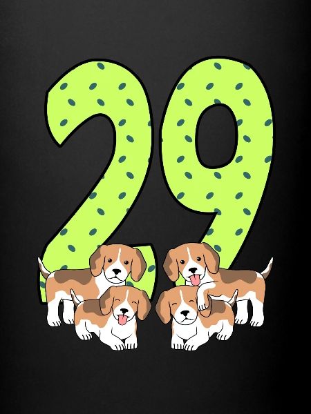 29e anniversaire