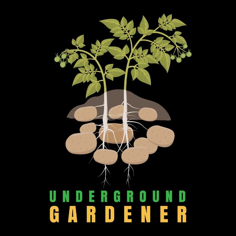 Jardinier souterrain Pomme de terre