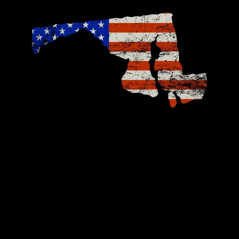 Maryland Home Us Flag Gift