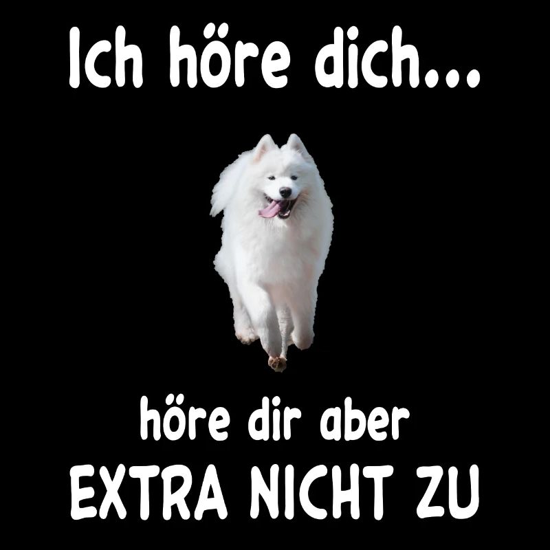 Samojede Hund - Samojede