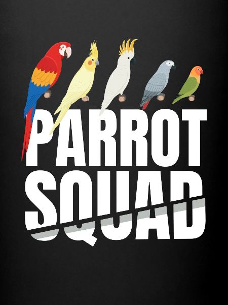 Parrot Squad Kids Oiseau