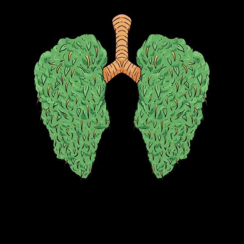 Fente de cannabis