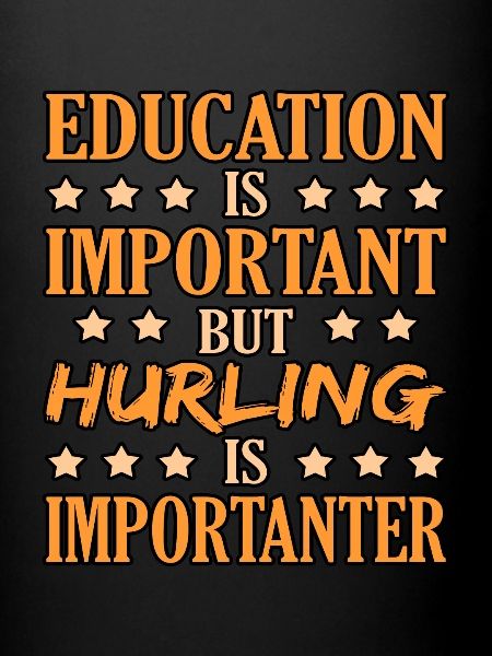 Hurling training