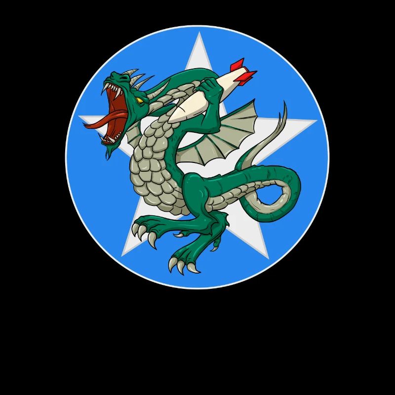 373rd Bomb Squadron Patch Vintage WWII Drachen