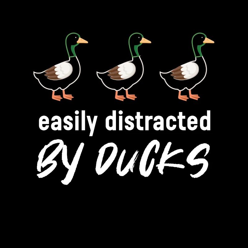 Facilement distrait par les canards Canard Oiseau