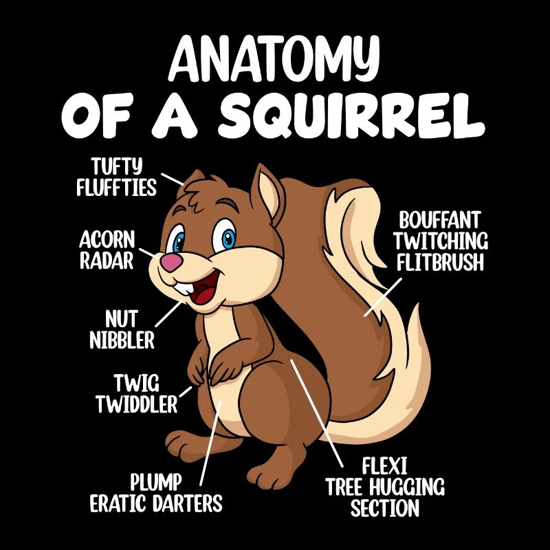 Anatomie eines Eichhörnchens