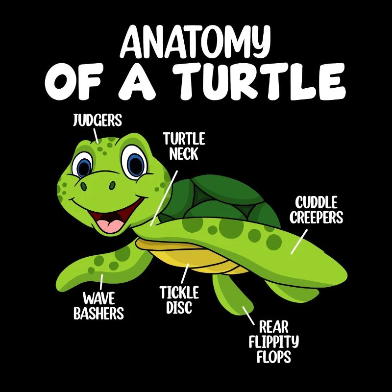 Anatomie d’une tortue