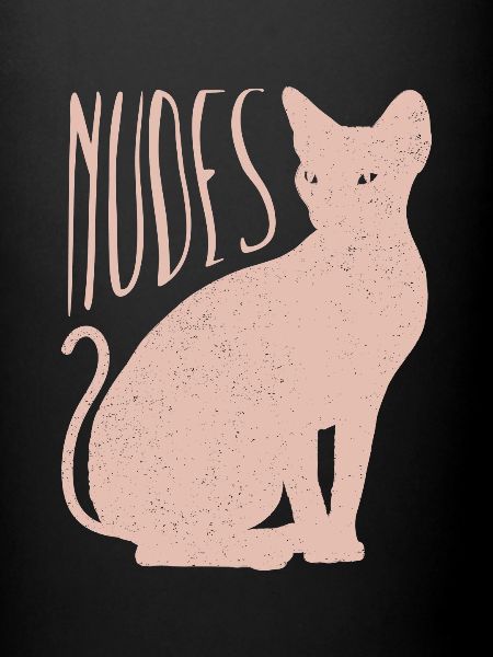 Chaton chat Sphynx nu
