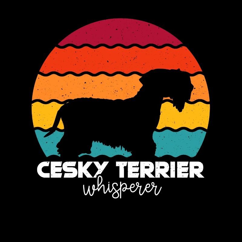 Cesky Terrier Hund - Cesky Terrier