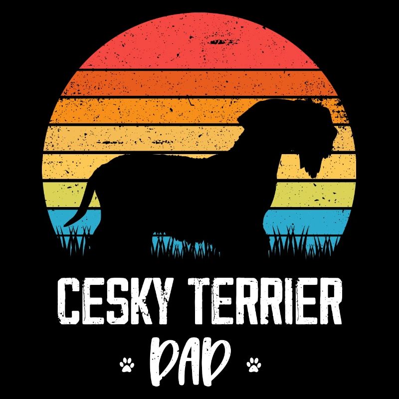 Cesky Terrier Hund - Cesky Terrier