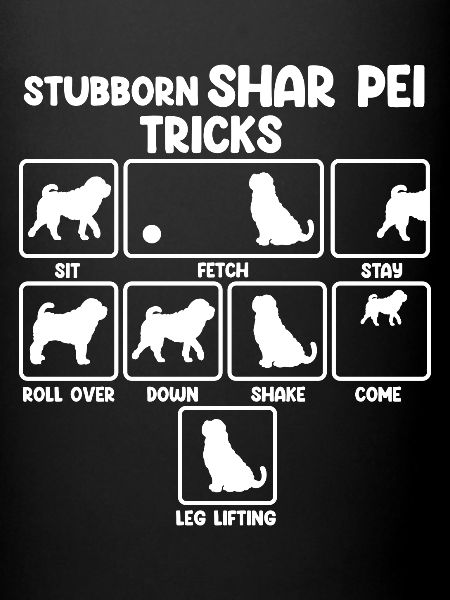 Shar Pei chinois