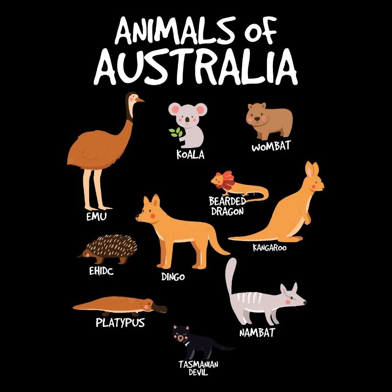 Tiere Australien Aussie Australischer KangarooG'da