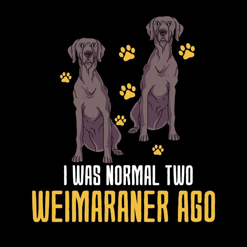 Weimaraner