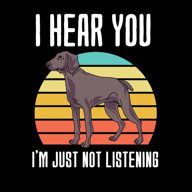 Weimaraner