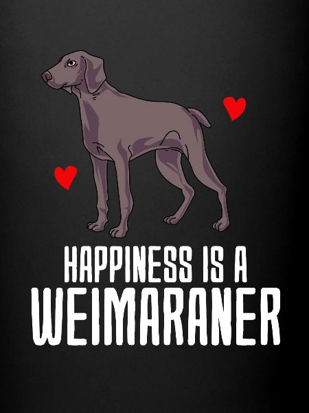 Weimaraner