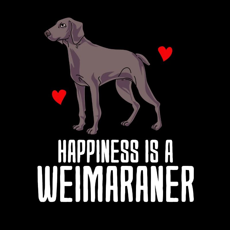 Weimaraner
