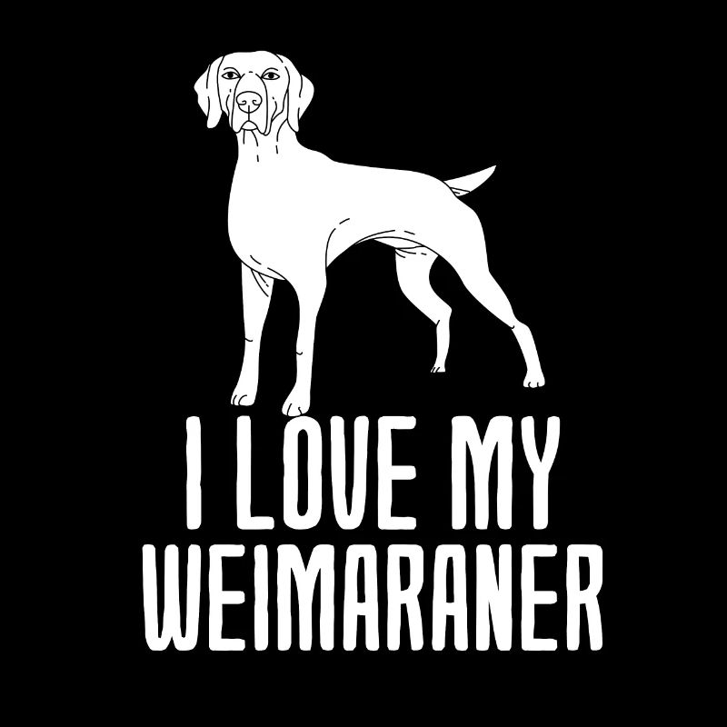 Weimaraner