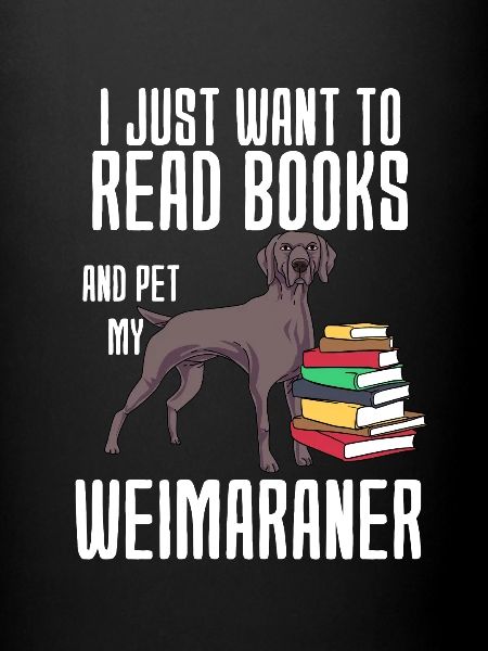 Weimaraner