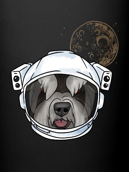 Zwergschnauzer