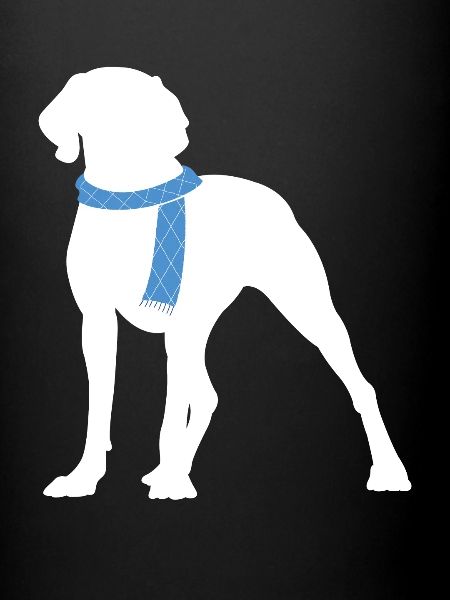 Weimaraner