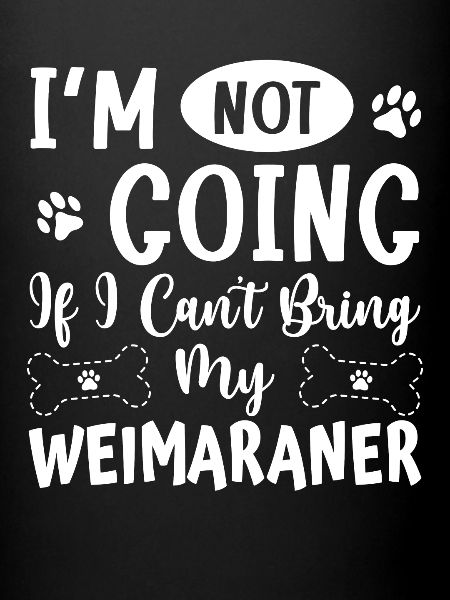 Weimaraner