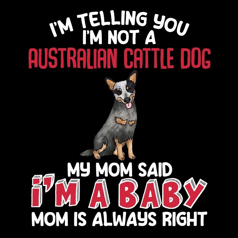 Bouvier australien