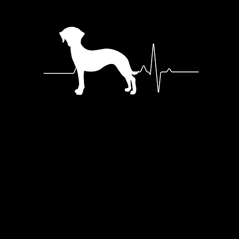 Whippet