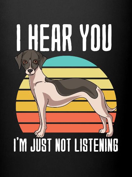 Whippet