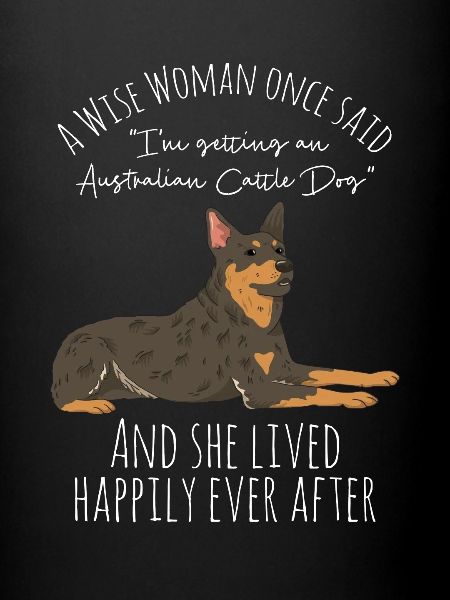 Bouvier australien