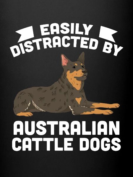 Bouvier australien