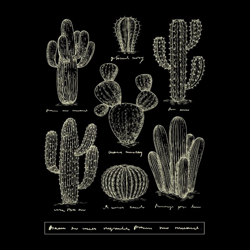 Espèce de cactus plante de cactus