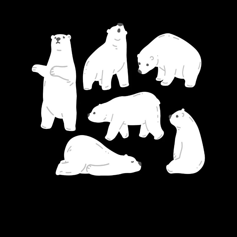 Polar Bears Bears Animal Welfare