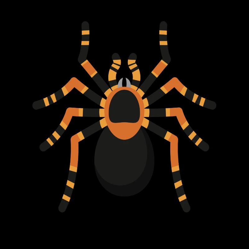 Spider Spider Tarantula