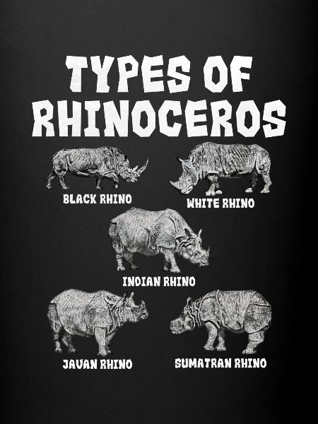 Rhinoceros