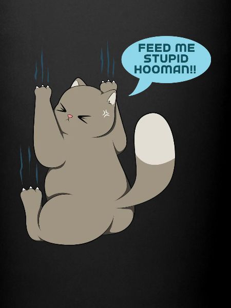 Katze