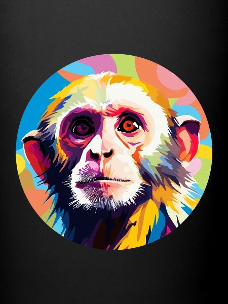 Singes capucins