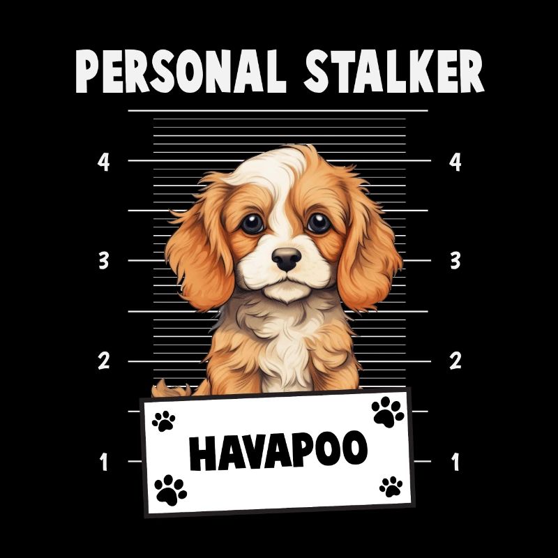 Personal Stalker Havapoo