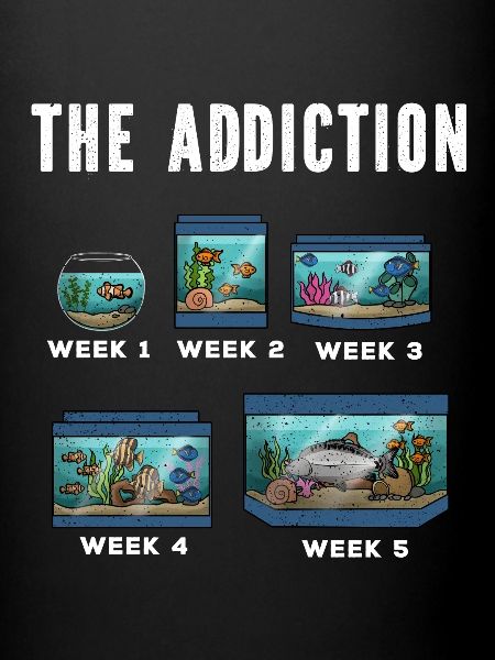 Aquarium Fish Gift