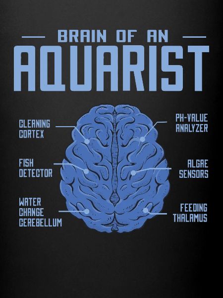 Aquarium