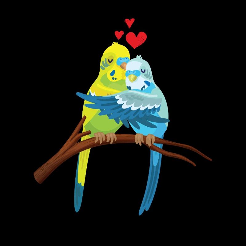 Mignon Perruche Amour Coeur Oiseau