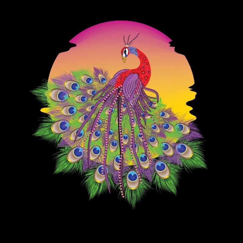 Pfau Sonne Vogel Ziervogel Federn Bunt