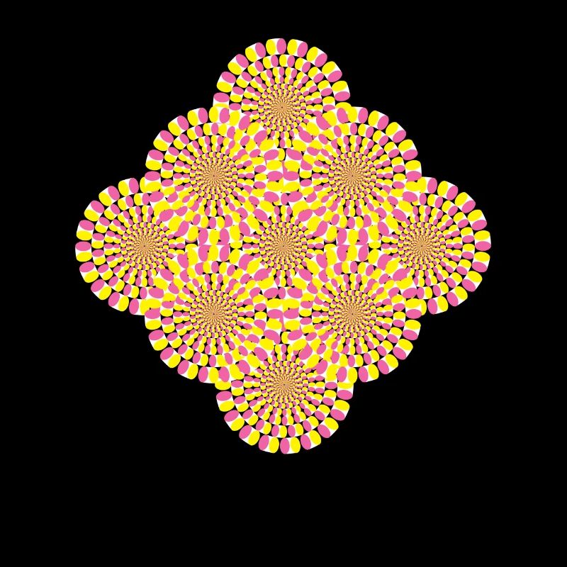 Perception Illusion d’optique Illusion