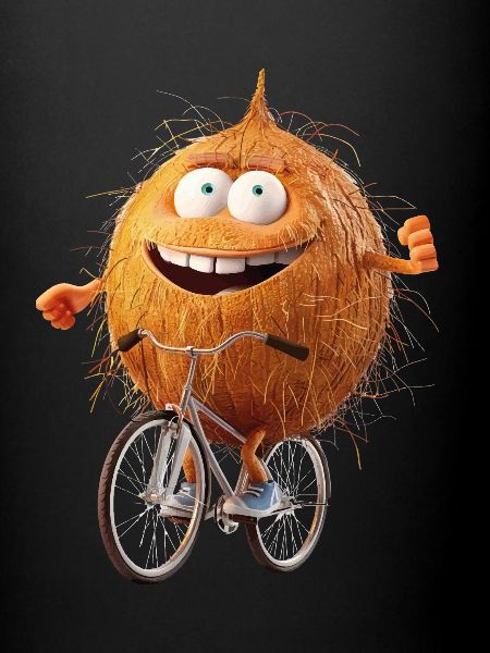Coconut Bicycle