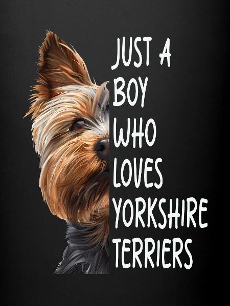 Yorkshire Terrier