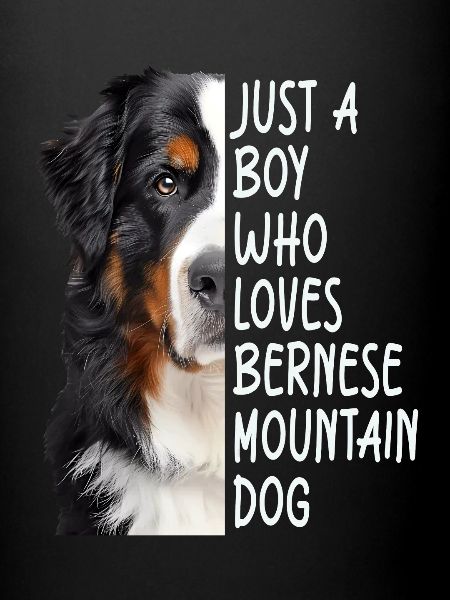 Bouvier bernois