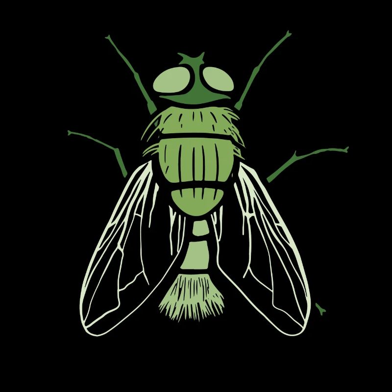 Mouche Insectes Mouche Entomologiste