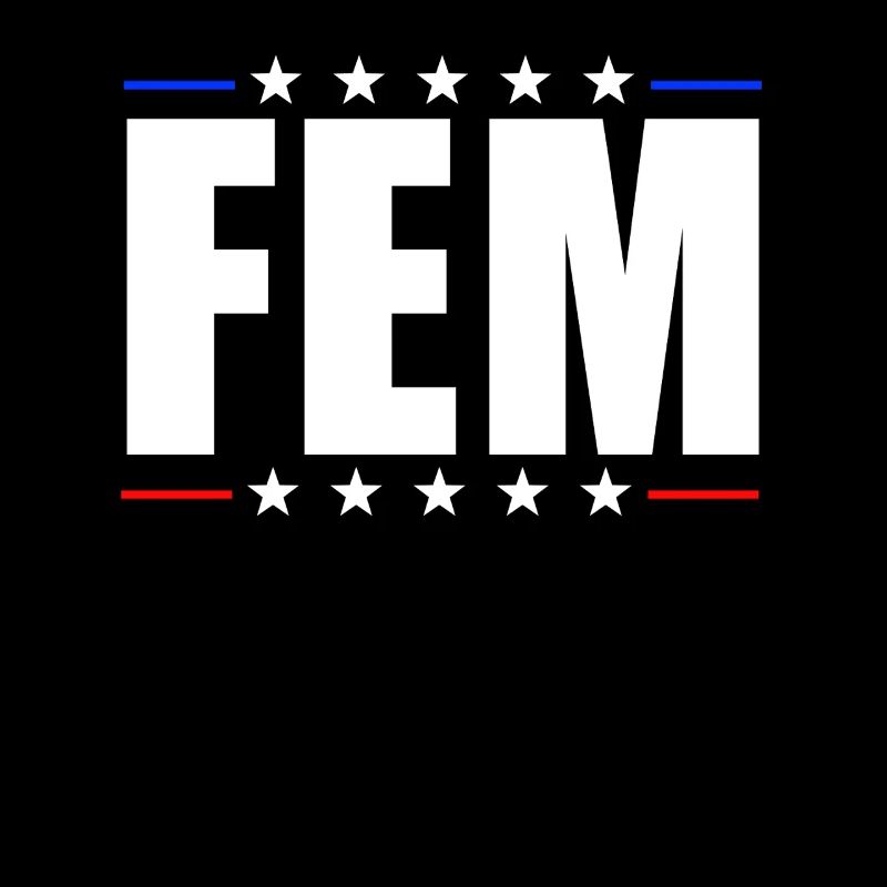 FEM