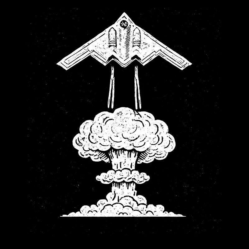 B-2 Stealth Bomber Militärflugzeug B2 Bomber